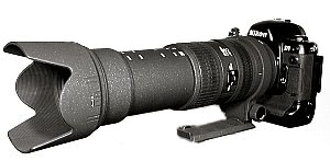 D1 with Sigma 50-500mm Zoom Lens @ 500mm