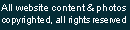 Website Copyright