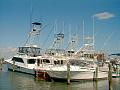 Charter Fleet