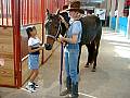 Cowgirls