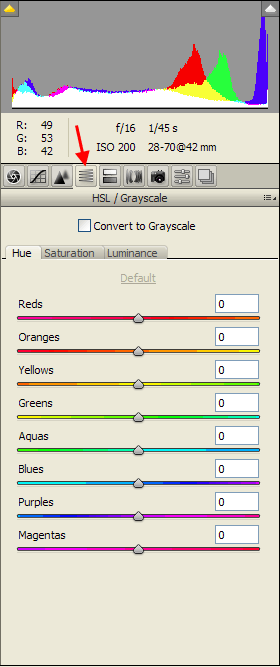 Photoshop (Full Version) HSL / Grayscale Tab