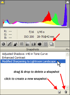 Photoshop (Full Version) Snapshots Tab