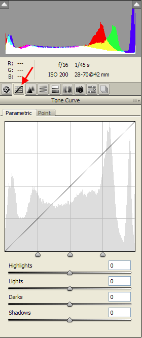 Photoshop (Full Version) Tone Curve Tab