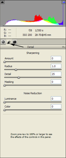 Photoshop Elements Detail Tab