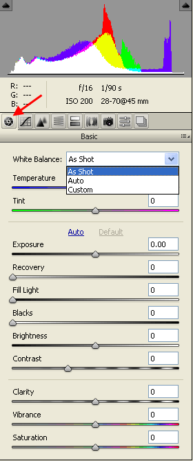 Photoshop (Full Version) Basic Tab