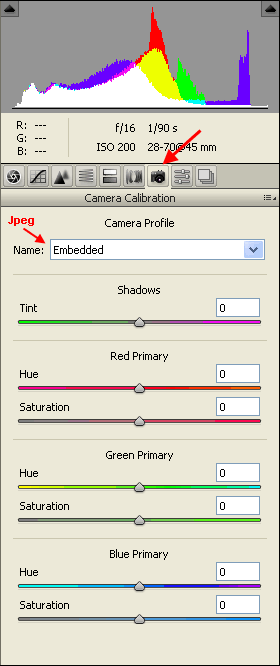 Photosho (full version) Camera Profile Tab