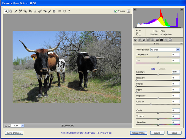PSCS4 Camera Raw Screenshot