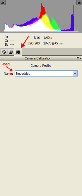 Photoshop Elements Camera Calibration Tab