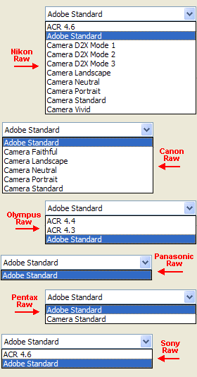Raw Image Camera Profile Choices
