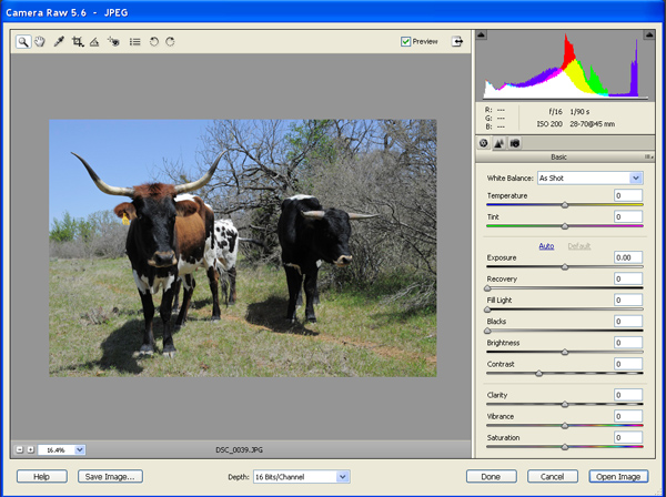 PS Elements Camera Raw Screenshot