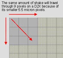 D2X Recorded Camera Shake Effect