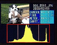 Histogram on the LCD Screen