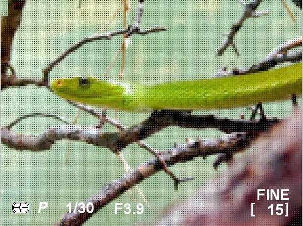 LCD Viewer Example