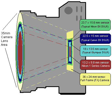 Multiplier Factor