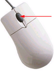 Wheel Mouse